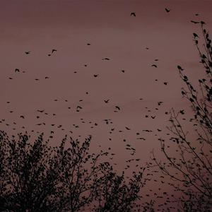 圣僧粗黑硬烫大啊H
